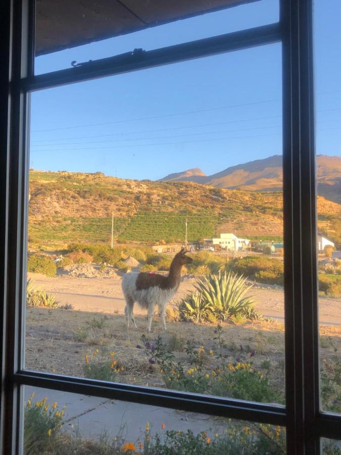 Hotel Las Vicunas Putre Kültér fotó
