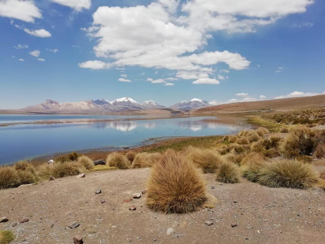 Hotel Las Vicunas Putre Kültér fotó
